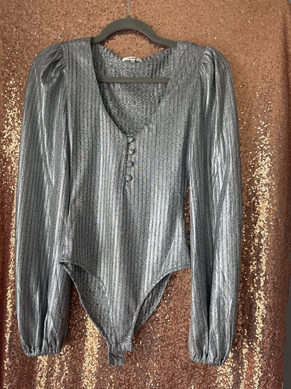 Tularosa Silver Ribbed Knit Top with Sequin Accent
